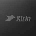 HiSilicon Kirin 9020