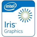 Intel Iris Xe Graphics G7 (96EU)