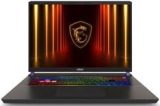 MSI Vector 17 HX AI (2025) A2XWJ